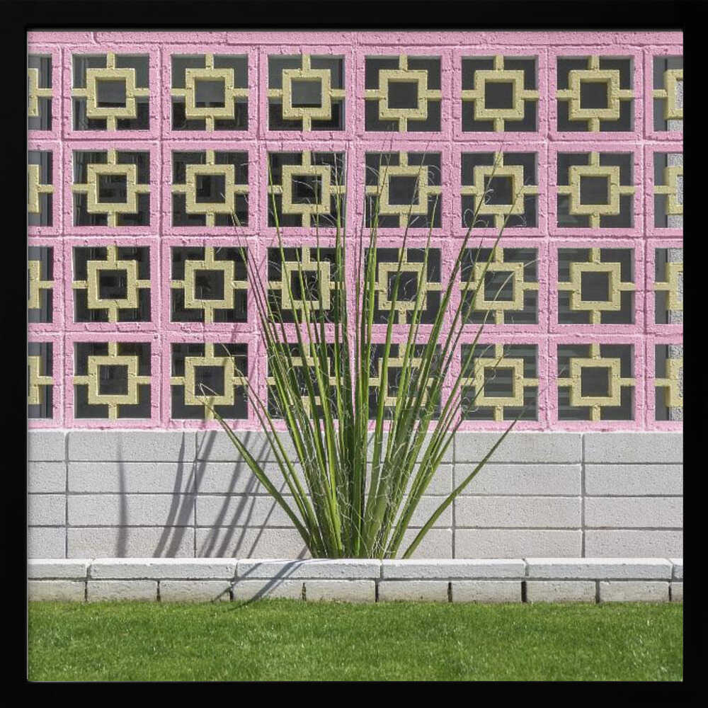 Mid - Century Breeze Block Wall with Cactus in Palm Springs, California - Square Stretched Canvas, Poster or Fine Art Print - I Heart Wall Art - Poster Print, Canvas Print or Framed Art Print