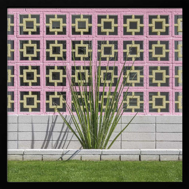 Mid - Century Breeze Block Wall with Cactus in Palm Springs, California - Square Stretched Canvas, Poster or Fine Art Print - I Heart Wall Art - Poster Print, Canvas Print or Framed Art Print