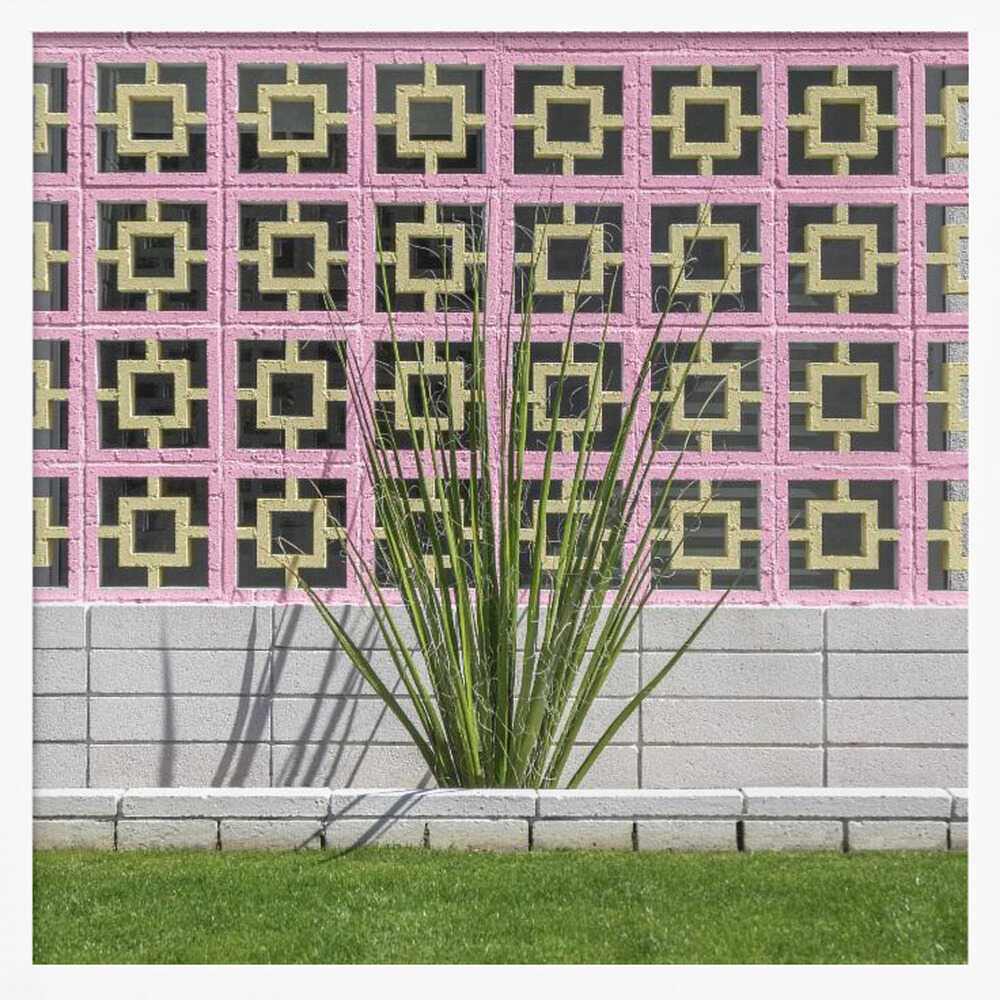 Mid - Century Breeze Block Wall with Cactus in Palm Springs, California - Square Stretched Canvas, Poster or Fine Art Print - I Heart Wall Art - Poster Print, Canvas Print or Framed Art Print