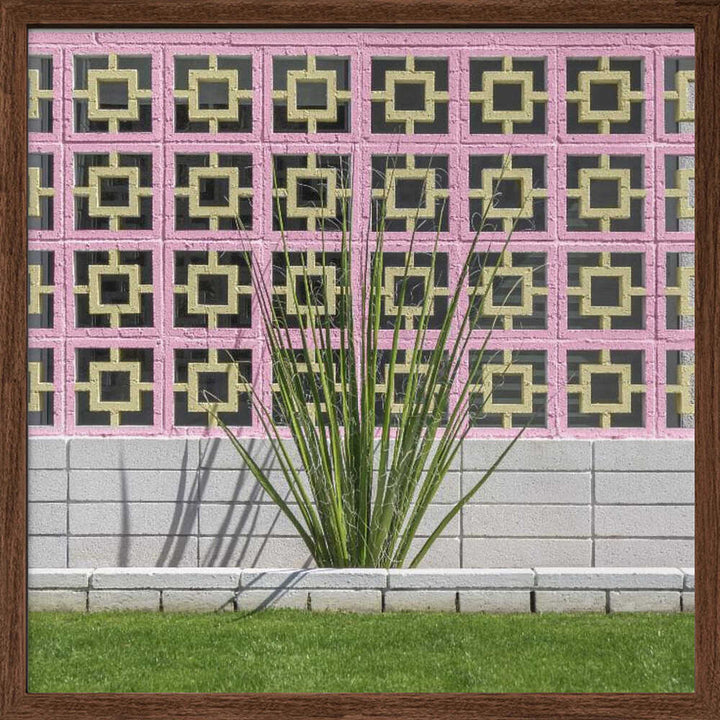 Mid - Century Breeze Block Wall with Cactus in Palm Springs, California - Square Stretched Canvas, Poster or Fine Art Print - I Heart Wall Art - Poster Print, Canvas Print or Framed Art Print