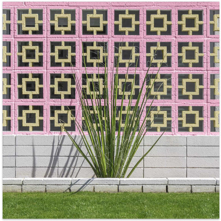 Mid - Century Breeze Block Wall with Cactus in Palm Springs, California - Square Stretched Canvas, Poster or Fine Art Print - I Heart Wall Art - Poster Print, Canvas Print or Framed Art Print