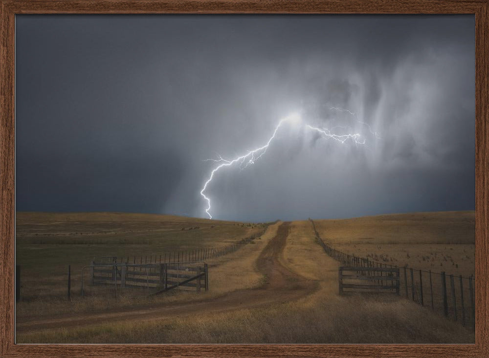 Midlands Mayhem - Stretched Canvas, Poster or Fine Art Print I Heart Wall Art