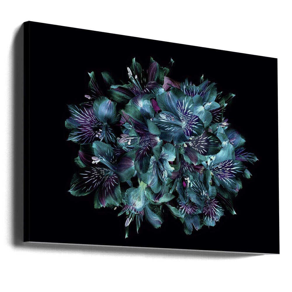 Midnight Teal Flowers - Floral Photographic Stretched Canvas Poster or Fine Art Print