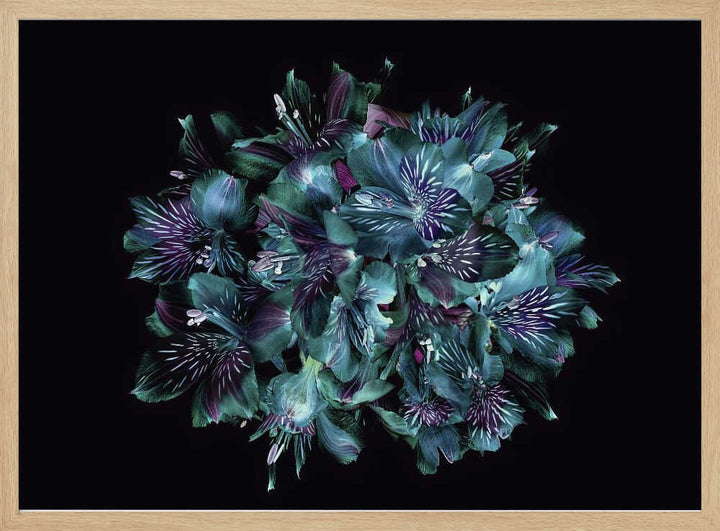 Midnight Teal Flowers - Floral Photographic Stretched Canvas Poster or Fine Art Print