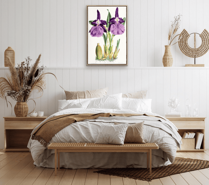 Miltonia Morelliana from The Floral Magazine (1861 - 1881) by Worthington G. Smith, John N. Fitch and Walter H. Fitch - Botanical Illustration Stretched Canvas or Wall Art Print - I Heart Wall Art - Poster Print, Canvas Print or Framed Art Print