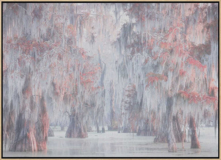 Misty Cypress Swamp - Stretched Canvas, Poster or Fine Art Print - I Heart Wall Art - Poster Print, Canvas Print or Framed Art Print