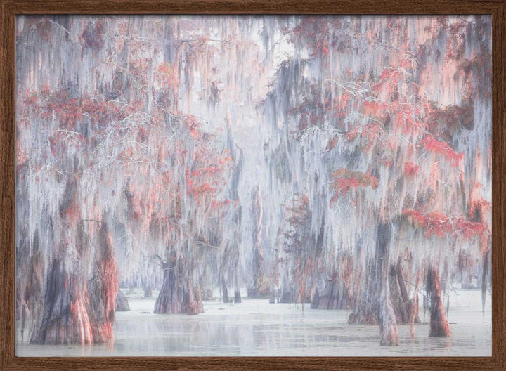 Misty Cypress Swamp - Stretched Canvas, Poster or Fine Art Print - I Heart Wall Art - Poster Print, Canvas Print or Framed Art Print