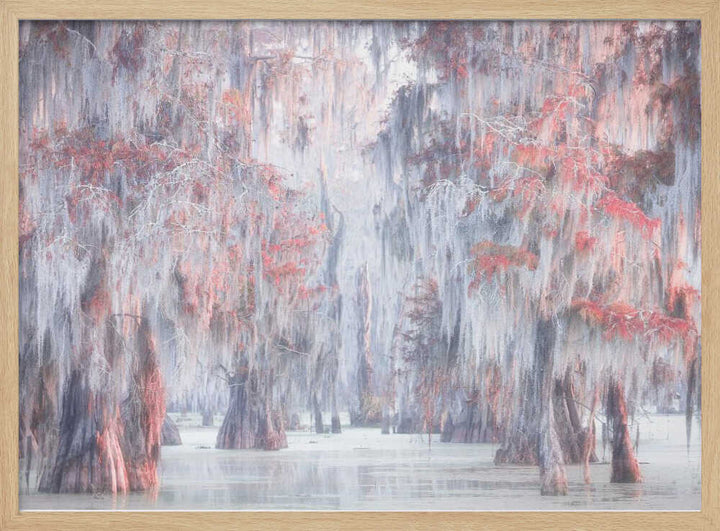 Misty Cypress Swamp - Stretched Canvas, Poster or Fine Art Print - I Heart Wall Art - Poster Print, Canvas Print or Framed Art Print