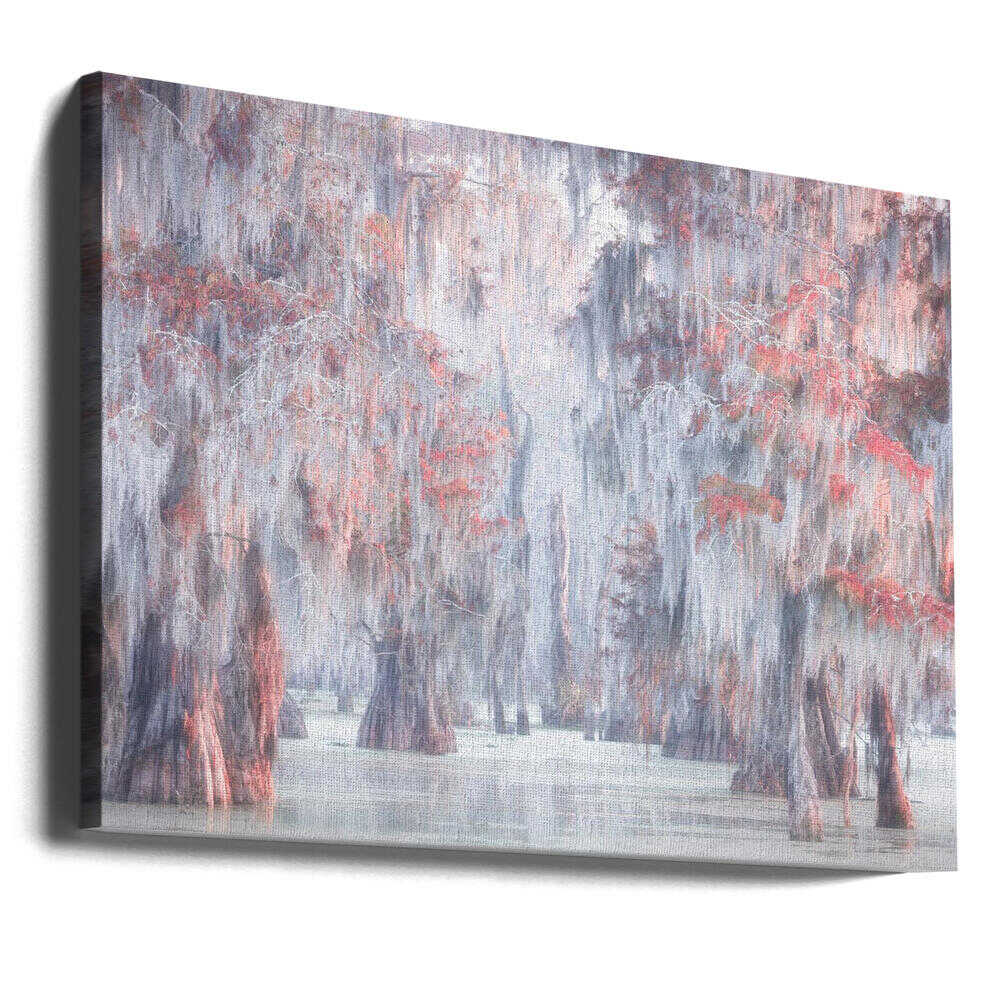 Misty Cypress Swamp - Stretched Canvas, Poster or Fine Art Print - I Heart Wall Art - Poster Print, Canvas Print or Framed Art Print