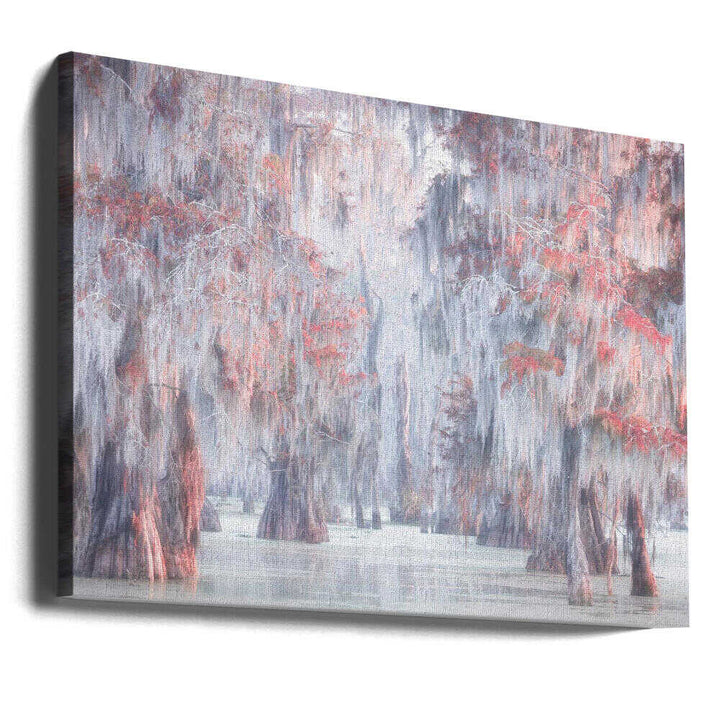 Misty Cypress Swamp - Stretched Canvas, Poster or Fine Art Print - I Heart Wall Art - Poster Print, Canvas Print or Framed Art Print