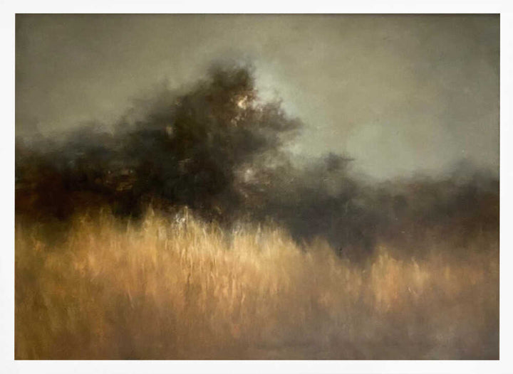 Misty Golden Landscape - Stretched Canvas Poster or Fine Art Print