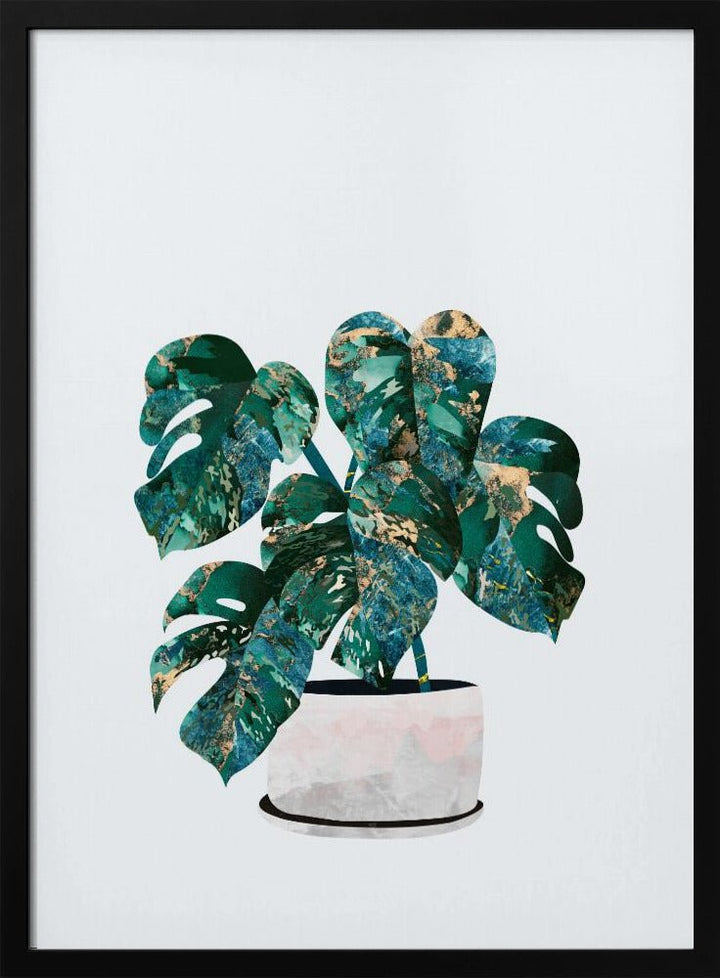 Monstera house plant - Stretched Canvas, Poster or Fine Art Print - I Heart Wall Art - Poster Print, Canvas Print or Framed Art Print