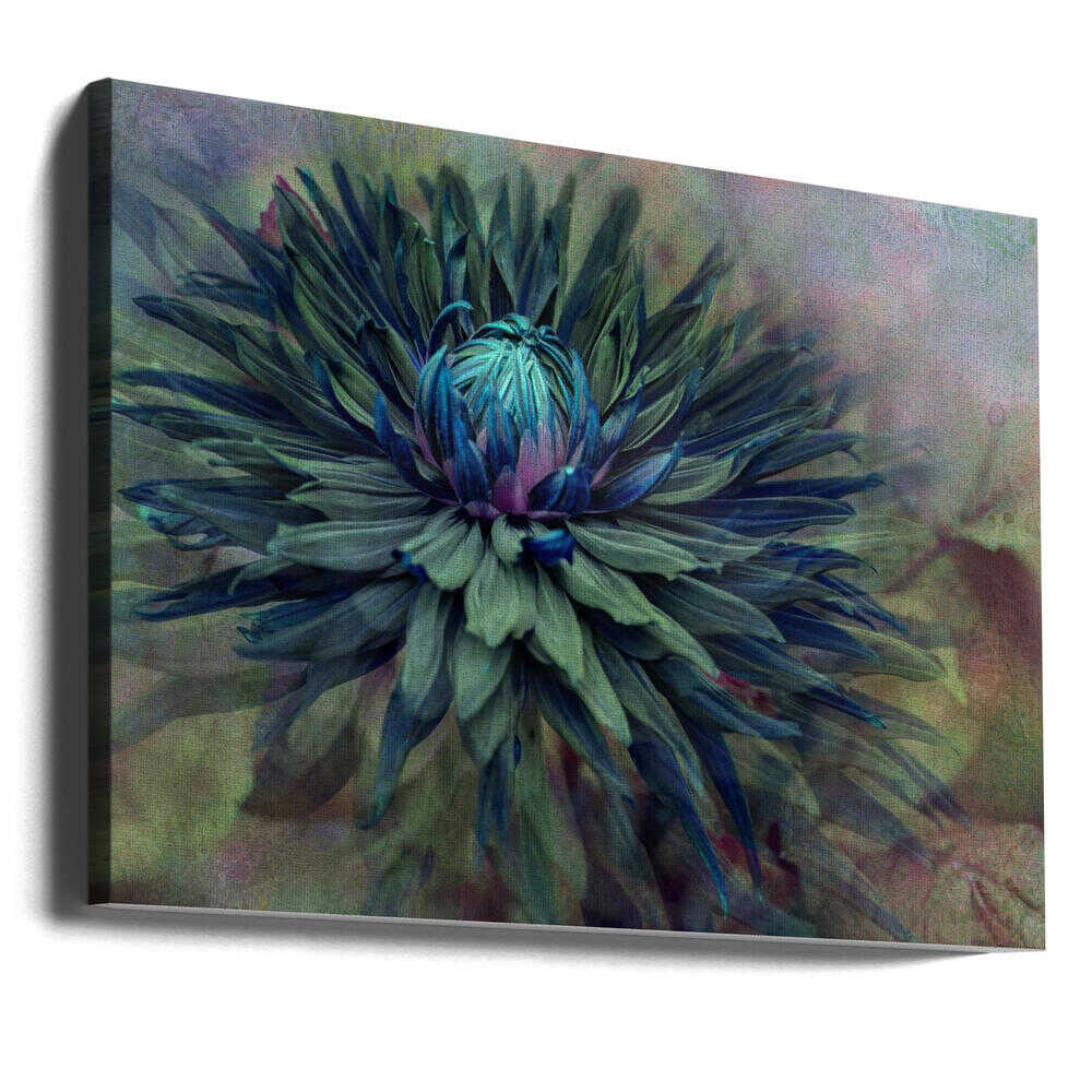 Moody Teal Dahlia - Floral Photographic Stretched Canvas Poster or Fine Art Print