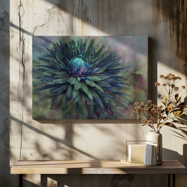 Moody Teal Dahlia - Floral Photographic Stretched Canvas Poster or Fine Art Print