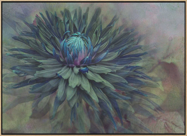 Moody Teal Dahlia - Floral Photographic Stretched Canvas Poster or Fine Art Print