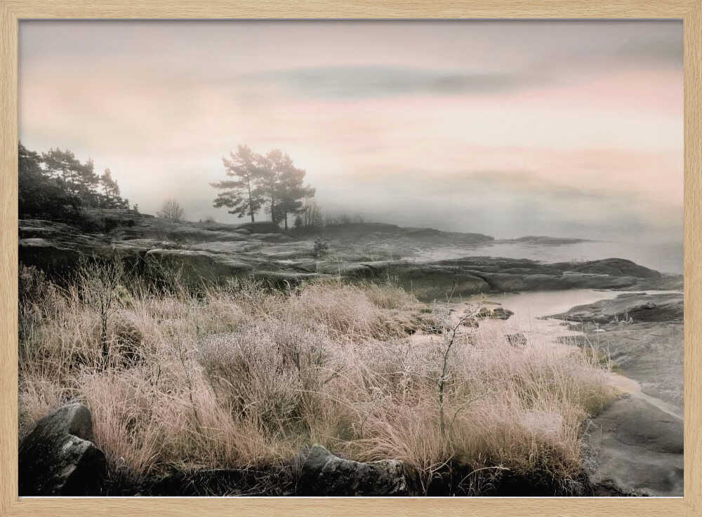 Morning Frost - Stretched Canvas, Poster or Fine Art Print - I Heart Wall Art - Poster Print, Canvas Print or Framed Art Print