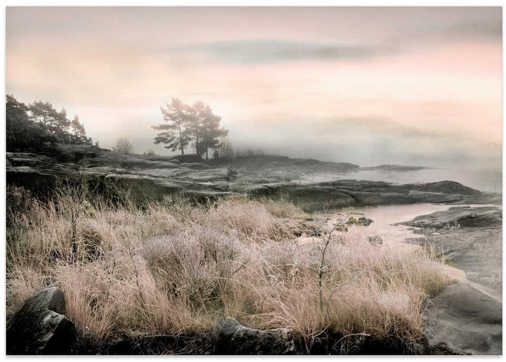 Morning Frost - Stretched Canvas, Poster or Fine Art Print - I Heart Wall Art - Poster Print, Canvas Print or Framed Art Print