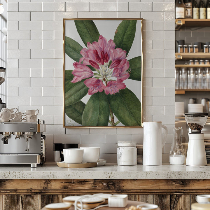 Mountain Rose Bay (1932) - Stretched Canvas, Poster or Fine Art Print I Heart Wall Art