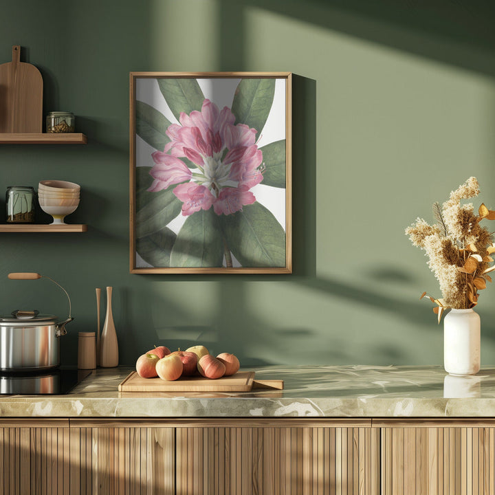 Mountain Rose Bay (1932) - Stretched Canvas, Poster or Fine Art Print I Heart Wall Art