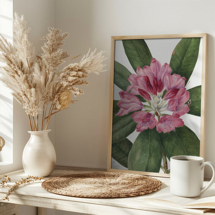 Mountain Rose Bay (1932) - Stretched Canvas, Poster or Fine Art Print I Heart Wall Art