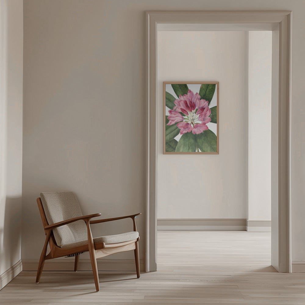 Mountain Rose Bay (1932) - Stretched Canvas, Poster or Fine Art Print I Heart Wall Art
