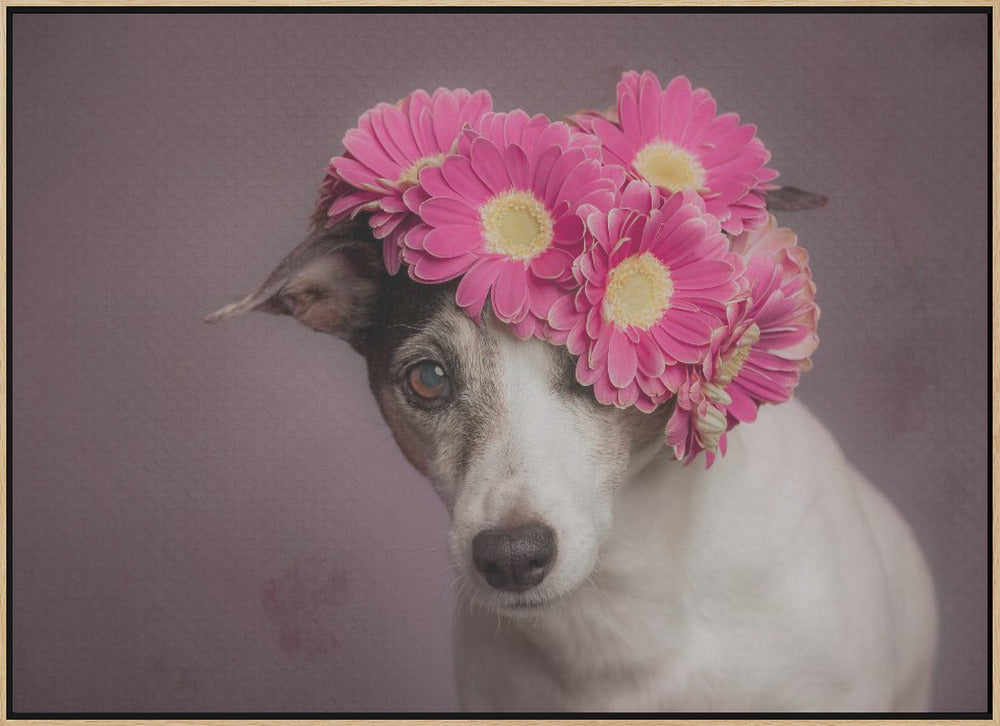 Mrs. Spring - Stretched Canvas, Poster or Fine Art Print I Heart Wall Art