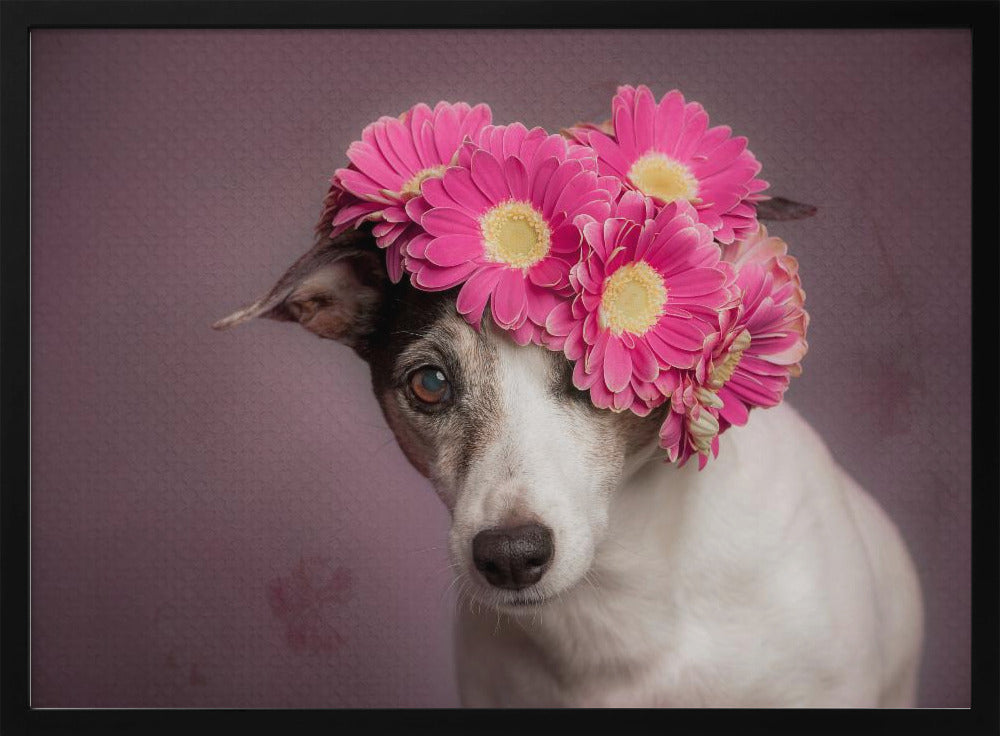 Mrs. Spring - Stretched Canvas, Poster or Fine Art Print I Heart Wall Art