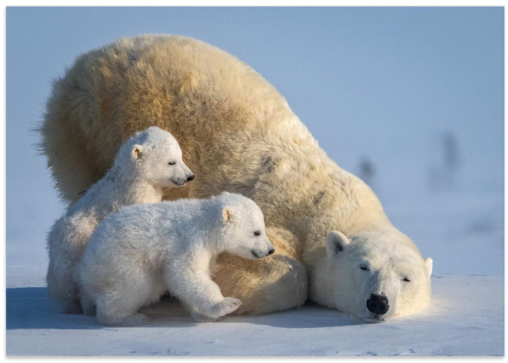 Mum, Play together - Stretched Canvas, Poster or Fine Art Print I Heart Wall Art