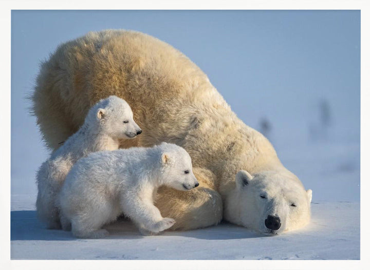 Mum, Play together - Stretched Canvas, Poster or Fine Art Print I Heart Wall Art