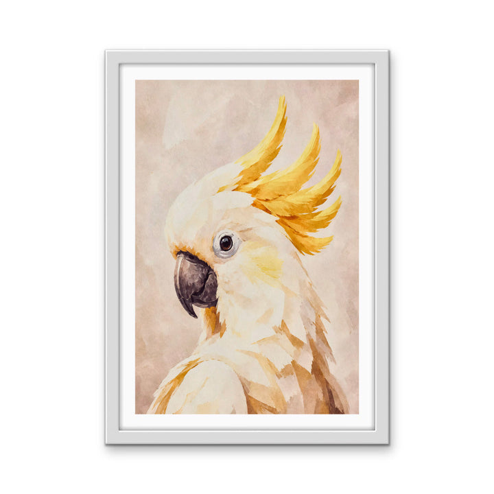 My Cockatoo Friend - Print of Sulphur Crested Art or Stretched Canvas