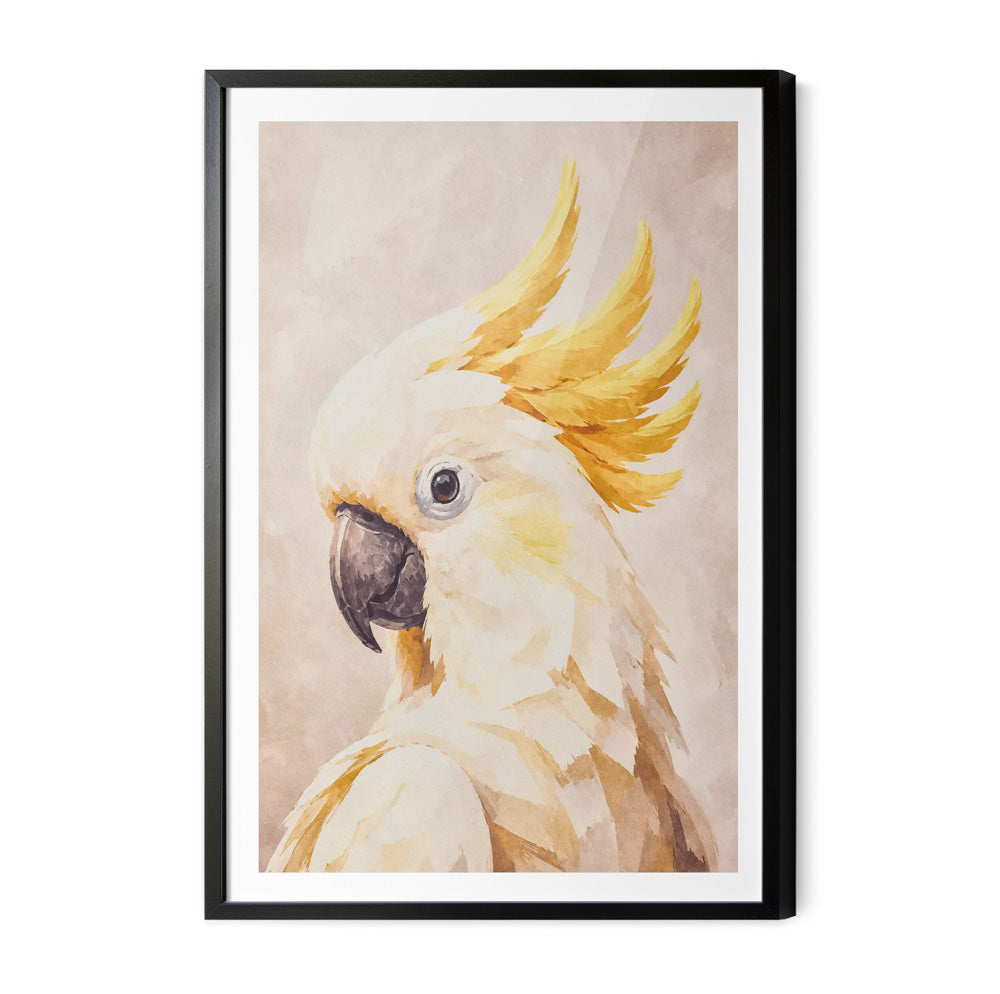 My Cockatoo Friend - Print of Sulphur Crested Art or Stretched Canvas