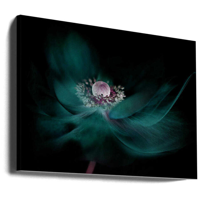 Mysterious Teal Flower - Floral Photographic Stretched Canvas Poster or Fine Art Print