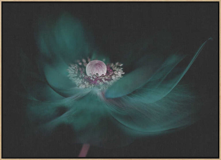 Mysterious Teal Flower - Floral Photographic Stretched Canvas Poster or Fine Art Print