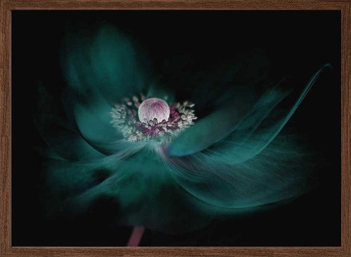 Mysterious Teal Flower - Floral Photographic Stretched Canvas Poster or Fine Art Print