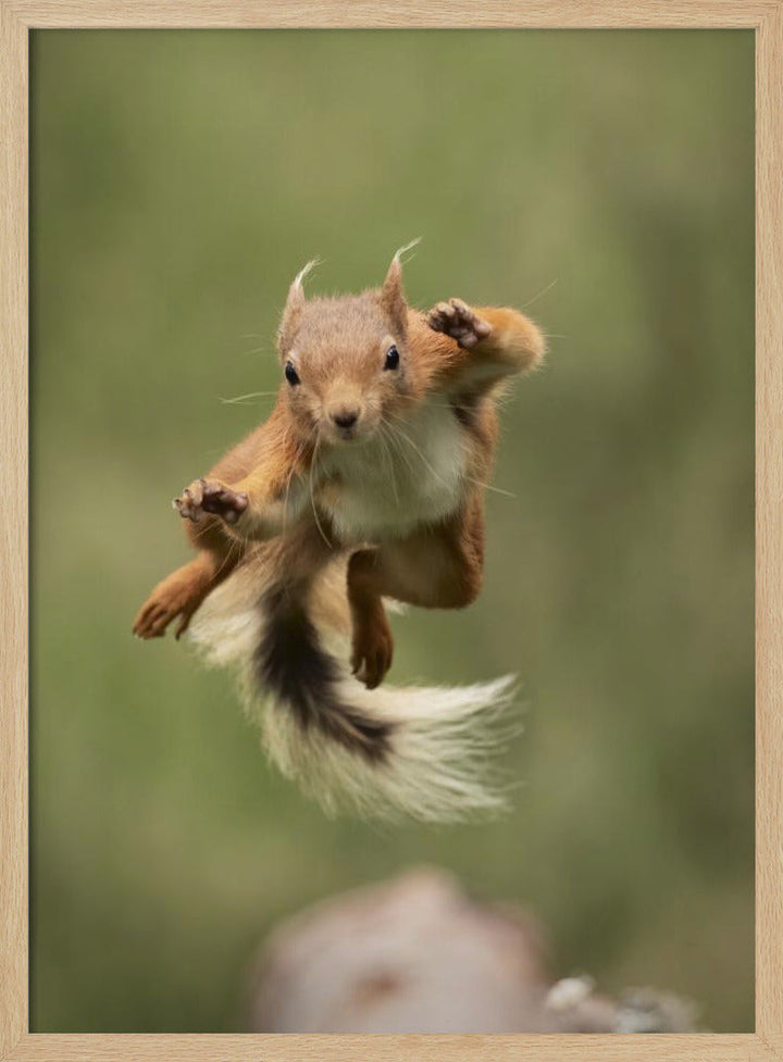 Ninja dancing - Stretched Canvas, Poster or Fine Art Print I Heart Wall Art