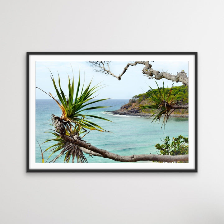 Noosa Beach - Pandanus and Ocean Sunshine Coast Photographic Art Print - I Heart Wall Art