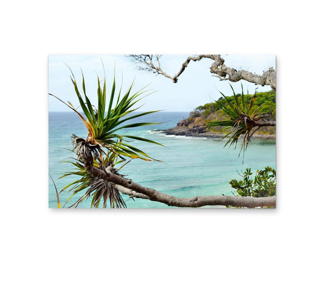 Noosa Beach - Pandanus and Ocean Sunshine Coast Photographic Art Print I Heart Wall Art Australia 