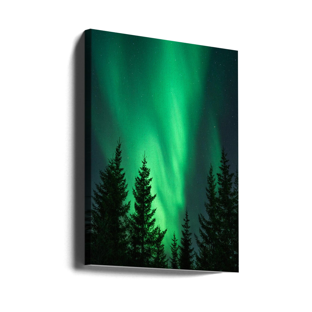 Northern Lights in the Woods - Stretched Canvas, Poster or Fine Art Print I Heart Wall Art