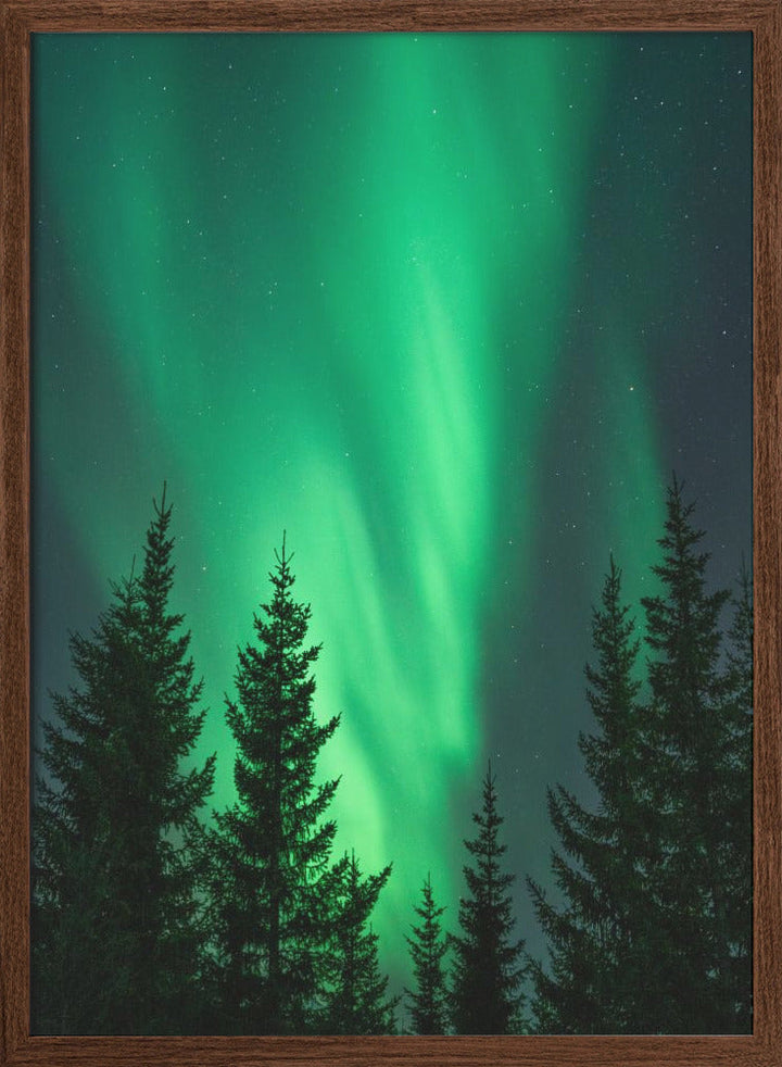 Northern Lights in the Woods - Stretched Canvas, Poster or Fine Art Print I Heart Wall Art