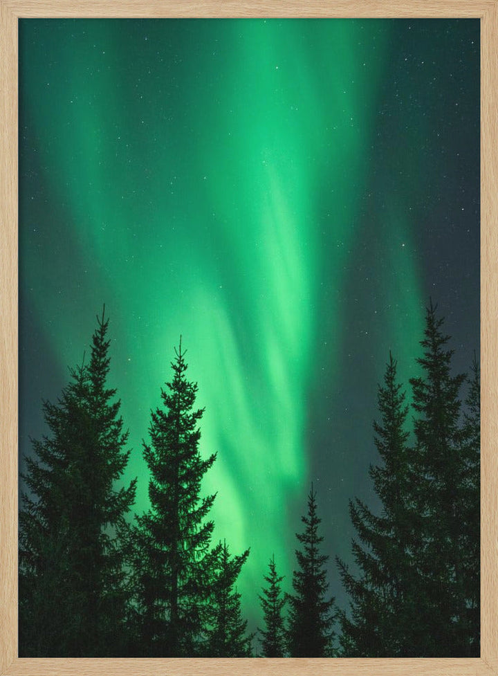 Northern Lights in the Woods - Stretched Canvas, Poster or Fine Art Print I Heart Wall Art