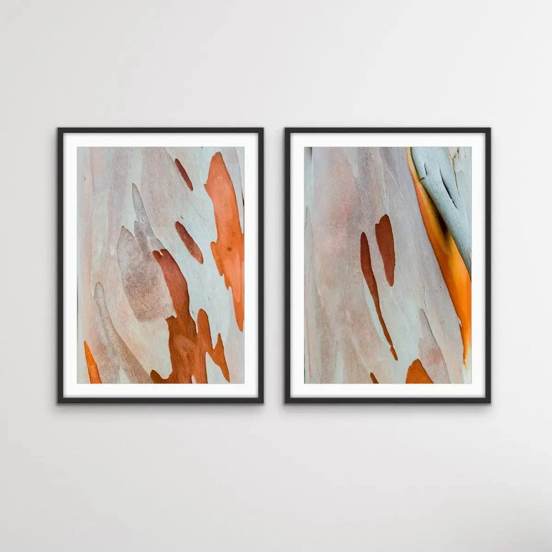 Ochre Bark - Two Piece Eucalyptus Bark Ochre Orange Red Print Set Diptych - I Heart Wall Art