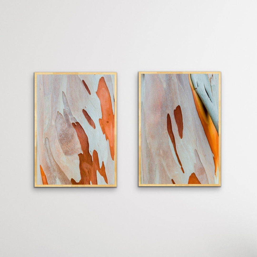 Ochre Bark - Two Piece Eucalyptus Bark Ochre Orange Red Print Set Diptych - I Heart Wall Art
