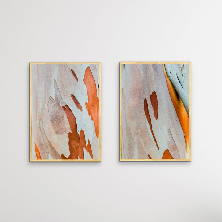 Ochre Bark - Two Piece Eucalyptus Bark Ochre Orange Red Print Set Diptych - I Heart Wall Art