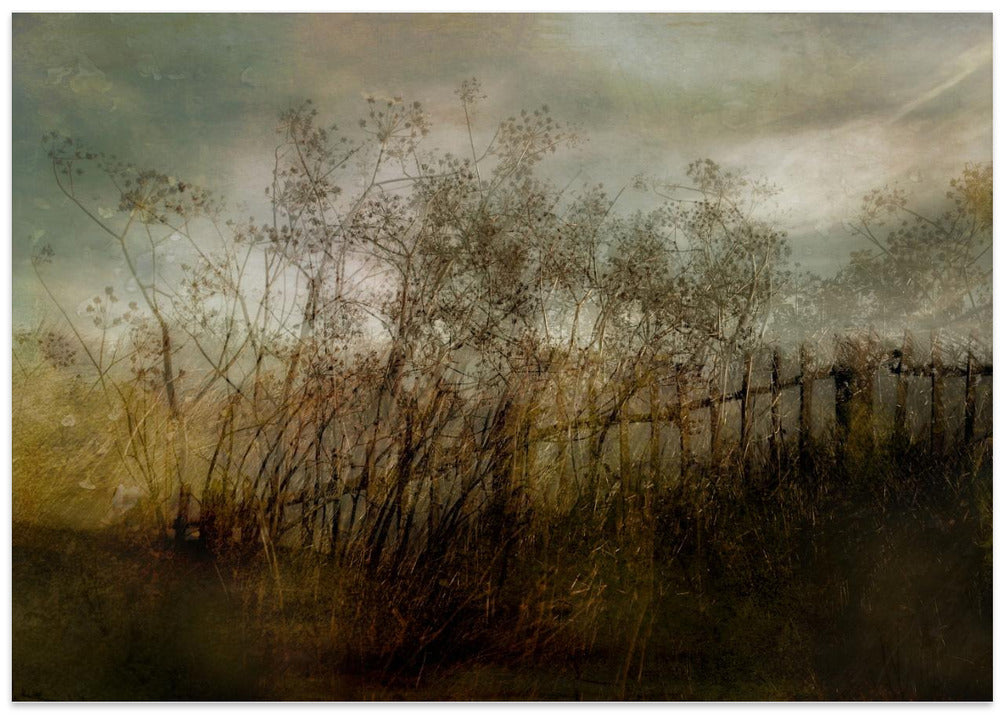 Old dream - Stretched Canvas, Poster or Fine Art Print I Heart Wall Art