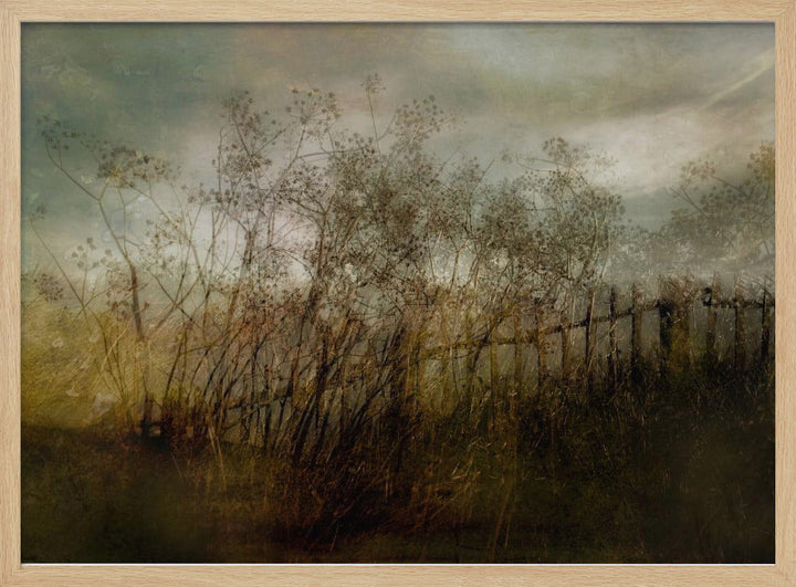 Old dream - Stretched Canvas, Poster or Fine Art Print I Heart Wall Art