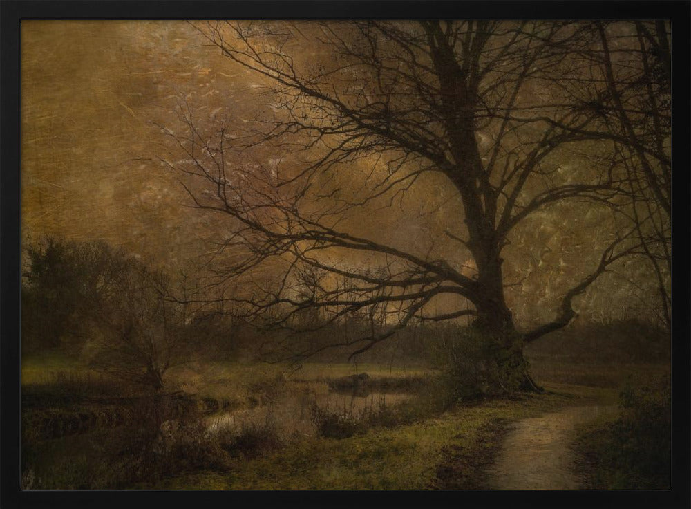 Old tree - Stretched Canvas, Poster or Fine Art Print I Heart Wall Art