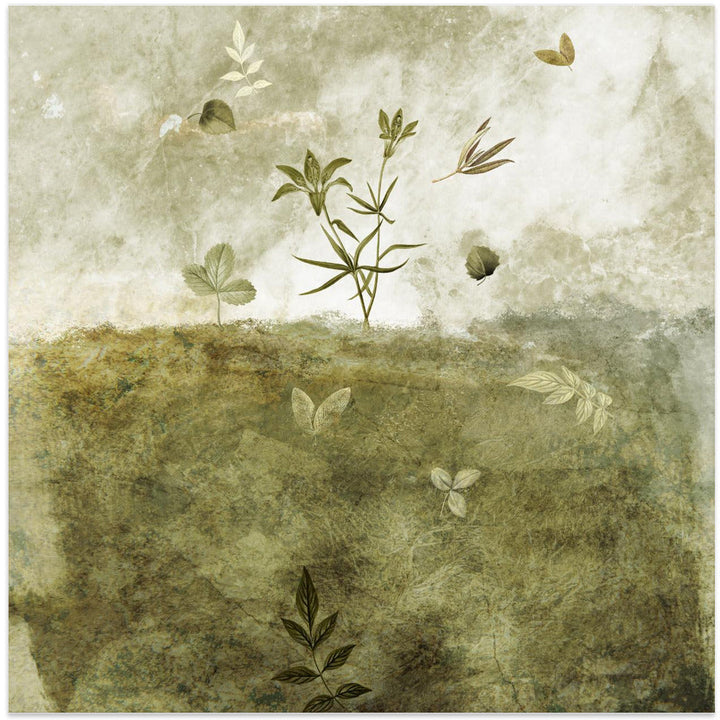 Olive - Square Stretched Canvas, Poster or Fine Art Print I Heart Wall Art