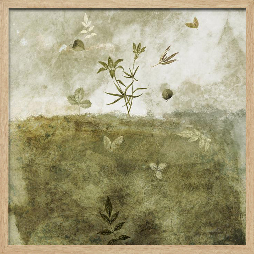Olive - Square Stretched Canvas, Poster or Fine Art Print I Heart Wall Art