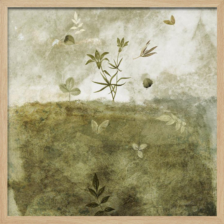 Olive - Square Stretched Canvas, Poster or Fine Art Print I Heart Wall Art