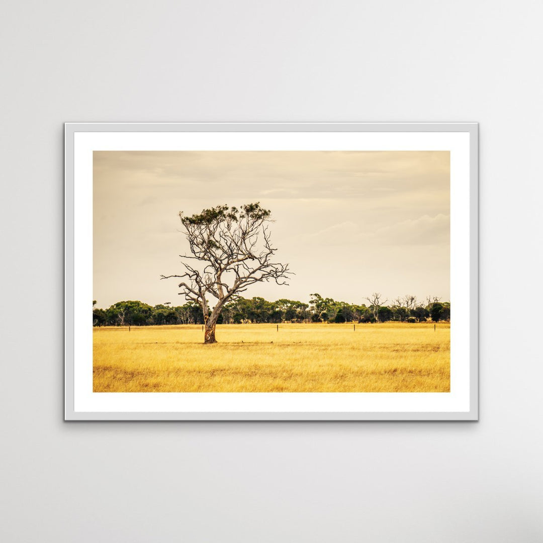 On The Farm - Australian Countryside Bush Yellow Landscape Art Print - I Heart Wall Art